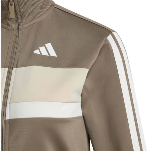 Adidas Sportswear junior trainingspak kaki Groen Polyester Opstaande kraag - Foto 2