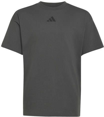 Adidas Sportswear T-shirt met logo grijs Katoen Ronde hals