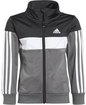 Adidas Sportswear trainingspak Tiberio zwart grijs Joggingpak Jongens Gerecycled polyester (duurzaam) Opstaande kraag 128