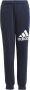 Adidas Sportswear Sportbroek ESSENTIALS REGULAR FIT BIG LOGO COTTON BROEK (1-delig) - Thumbnail 1