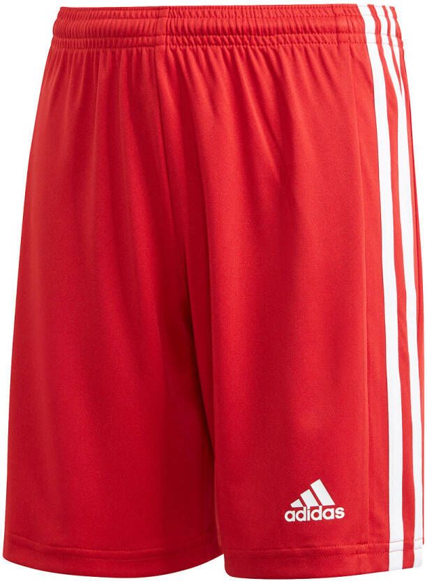 Adidas Perfor ce Squad 21 sportshort rood wit Sportbroek Polyester 116