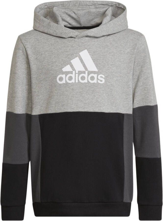 Adidas Sportswear Sweatshirt COLOURBLOCK HOODIE