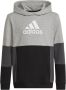 Adidas Sportswear Sweatshirt COLOURBLOCK HOODIE - Thumbnail 2