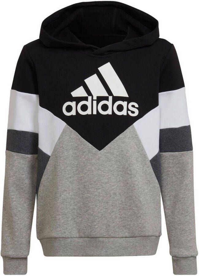 Adidas Sportswear Sweatshirt COLORBLOCK FLEECE HOODIE