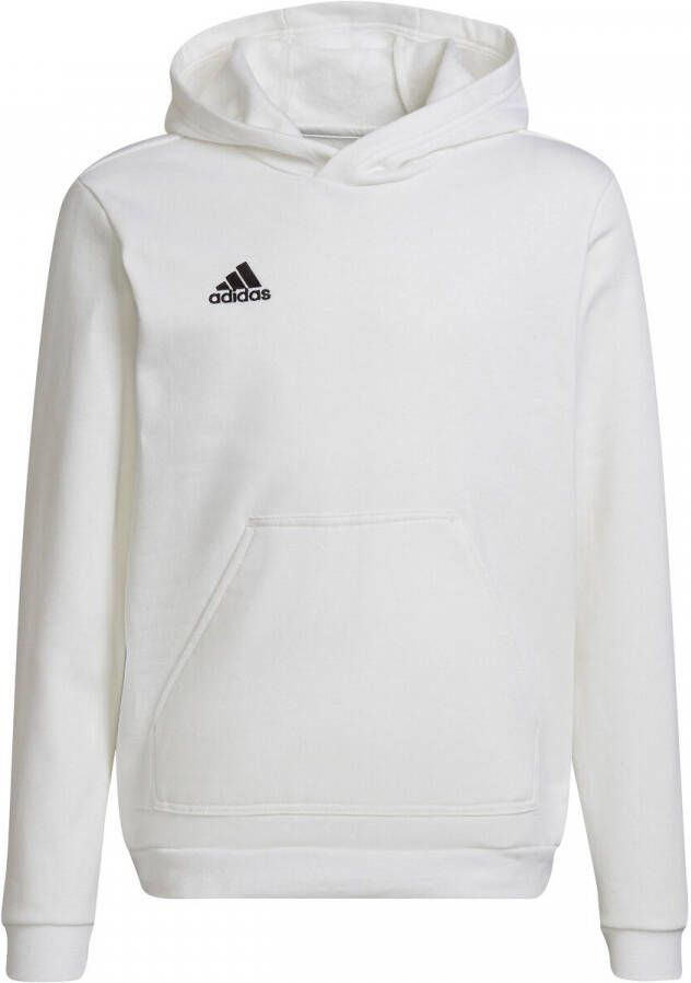 Adidas Entrada 22 Hoodie Junior