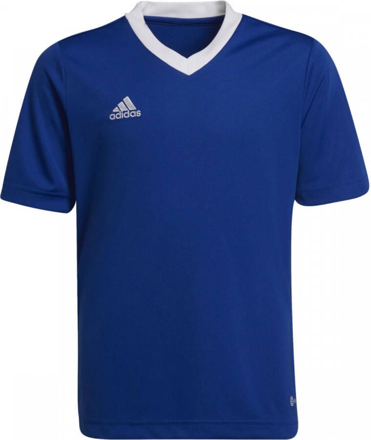 Adidas Perfor ce junior voetbalshirt kobaltblauw Sport t-shirt Gerecycled polyester Ronde hals 116