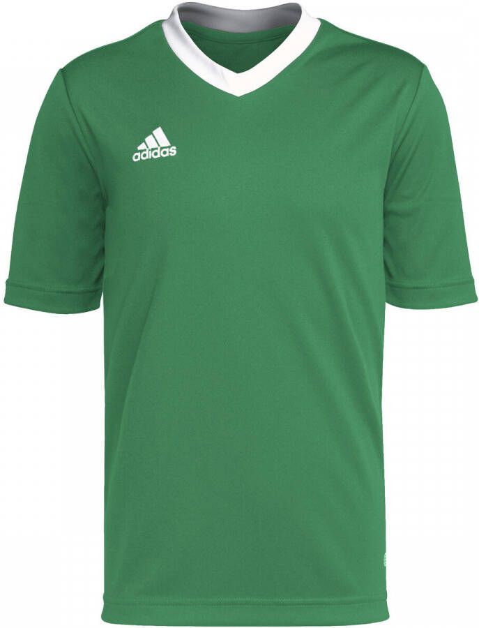 Adidas Perfor ce junior voetbalshirt groen Sport t-shirt Gerecycled polyester Ronde hals 128
