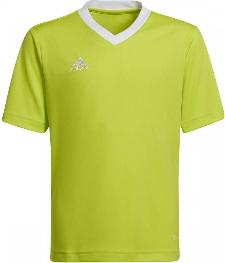Adidas perfor ce T shirt - Foto 3