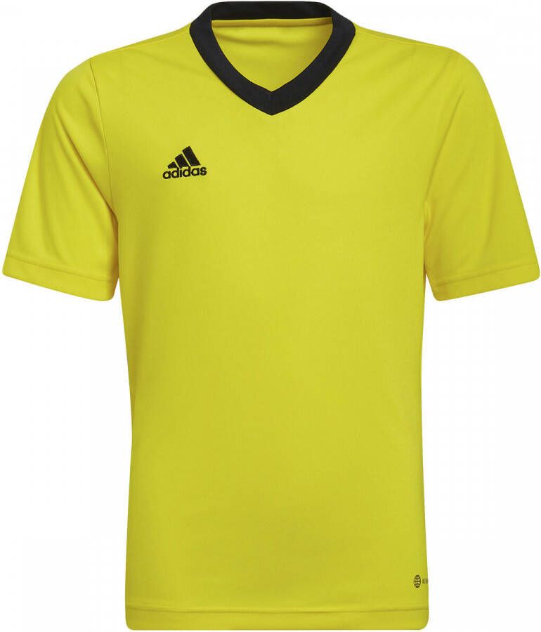 Adidas T-shirt Korte Mouw Entrada 22