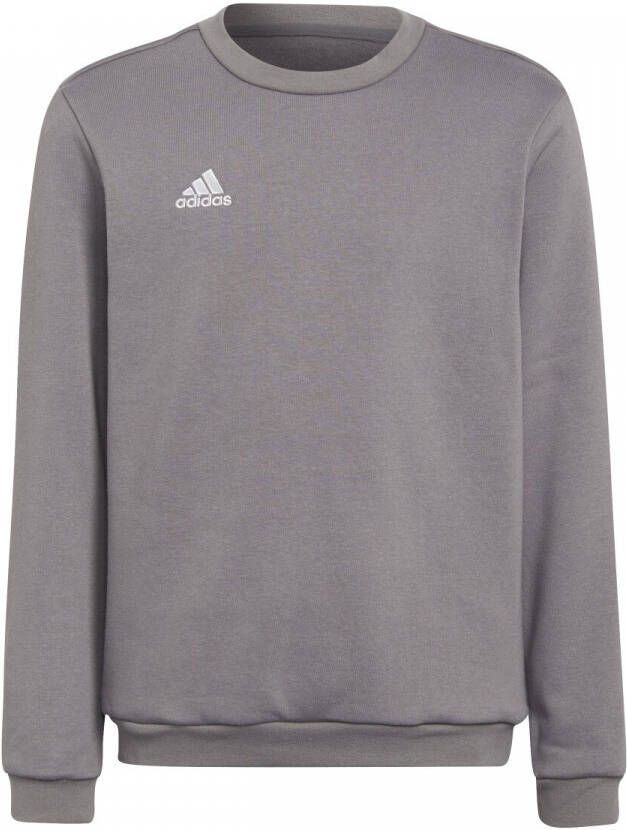 Adidas Perfor ce Junior sweater grijs Sportsweater Katoen Ronde hals 116