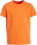 Anytime T-shirt oranje Jongens Katoen Ronde hals Effen 146 152 - Thumbnail 2