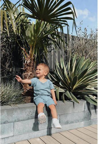 Babystyling baby T-shirt blauw Jongens Katoen Ronde hals Effen 62 68 - Foto 3