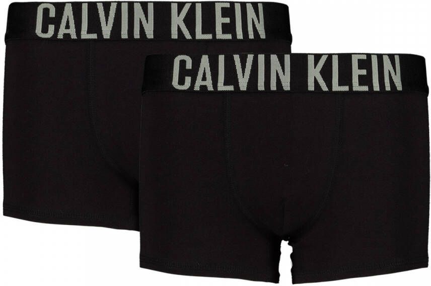 Calvin Klein Underwear Boxershort met stretch in set van 2