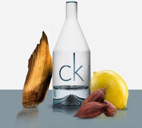 Calvin Klein In2U Him Eau de Toilette 100 ml | Eau de toilette van