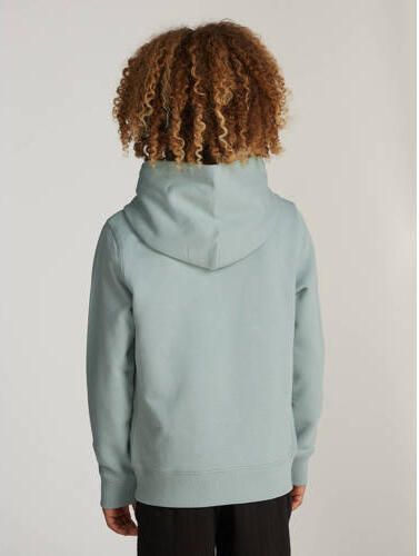 Calvin Klein Hoodie SMALL MONOGRAM HOODIE voor kinderen tot 16 jaar en met logo-opdruk - Foto 2