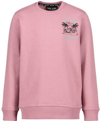 Cars sweater Simmar met backprint roze Jongens Katoen Ronde hals Backprint 164 - Foto 2