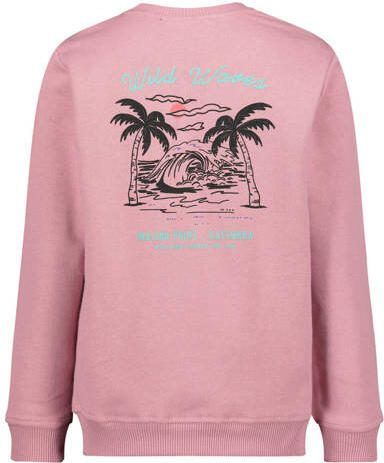 Cars sweater Simmar met backprint roze Jongens Katoen Ronde hals Backprint 164 - Foto 3