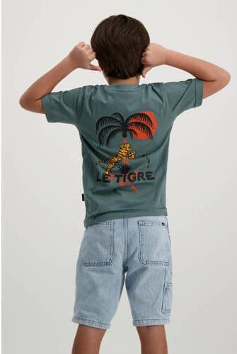 Cars T-shirt DRAYCO met backprint mosgroen Jongens Katoen Ronde hals Backprint 116 - Foto 2