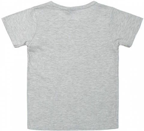 Dirkje baby T-shirt met printopdruk grijs Stretchkatoen Ronde hals 56 - Foto 2