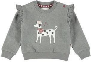 Dirkje rechtvallende sweater met ruches en print grijs Printopdruk
