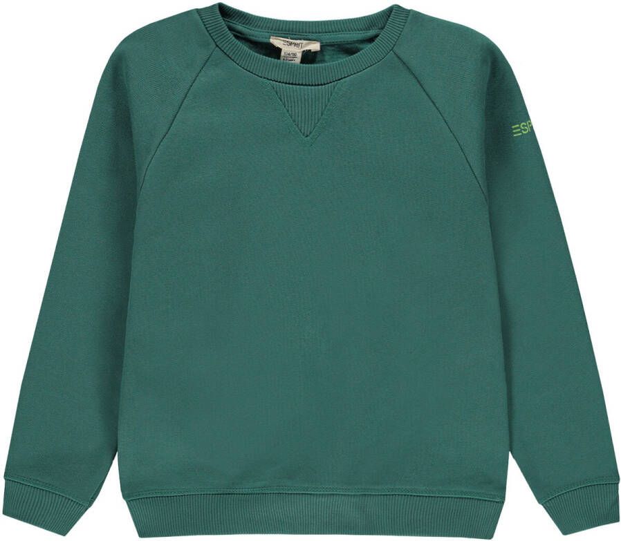Esprit longsleeve groen Jongens Katoen Ronde hals Effen 116-122
