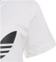 Adidas Originals T-shirt short ADICOLOR SHORTS EN SET - Thumbnail 8