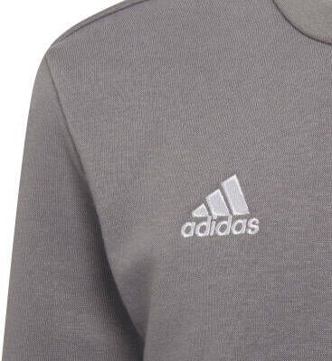 adidas performance Sweater