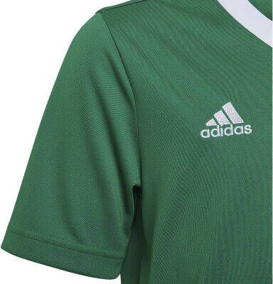 adidas performance T-shirt