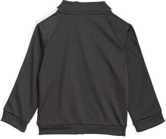 adidas performance Trainingspak
