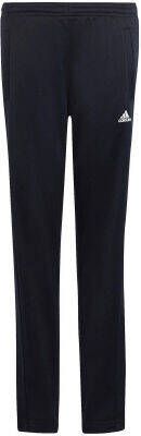 adidas performance Trainingspak