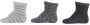 Apollo sokken set van 6 zwart grijs blauw roze Meisjes Stretchkatoen 56-68 - Thumbnail 2