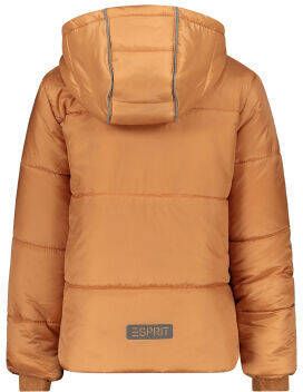 Esprit Jas