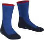 Falke sokken Active Everyday kobaltblauw Polyester Effen 27-30 - Thumbnail 5