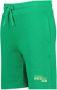 Raizzed regular fit short Brennon met logo groen - Thumbnail 2