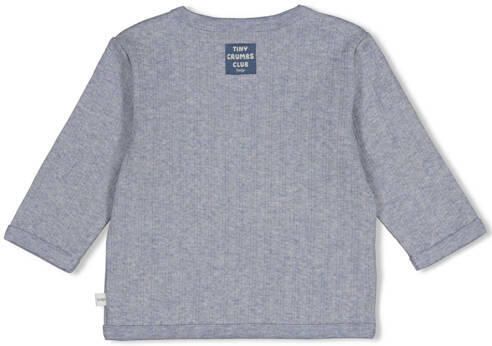 Feetje longsleeve Breakfast Buddy blauw Jongens Stretchkatoen V-hals