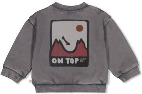 Feetje sweater Mountain Top grijs Jongens Katoen Ronde hals Backprint - Foto 3