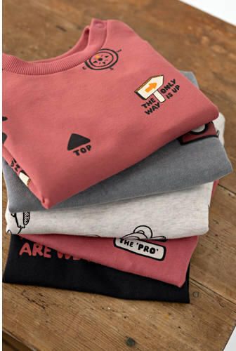 Feetje sweater Mountain Top grijs Jongens Katoen Ronde hals Backprint - Foto 2
