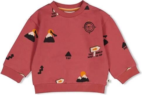 Feetje sweater Mountain Top rood Jongens Stretchkatoen Ronde hals All over print