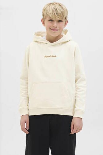 Jack & Jones Junior Hoodie JORNORREBRO EMB SWEAT HOOD NOOS JNR - Foto 8