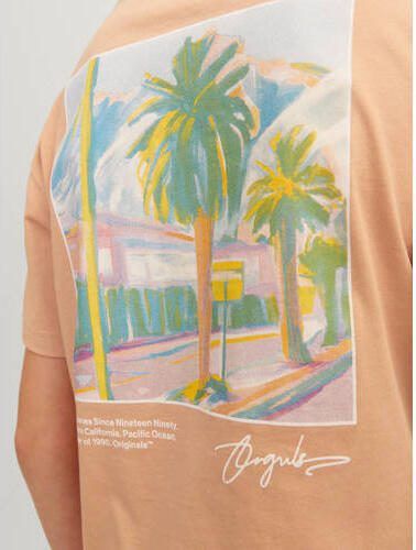 Jack & jones JUNIOR T-shirt JORARUBA LANDSCAPE met backprint zachtoranje Jongens Katoen Ronde hals 128