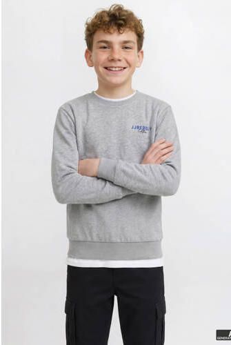 JJ REBEL JUNIOR sweater met backprint grijs melange Jongens Polyester Ronde hals - Foto 4