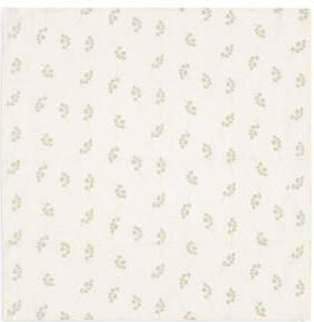 Jollein Hydrofiele Doek Small 70x70cm zand wit (4 pack) Hydrofiele luiers Groen - Foto 4
