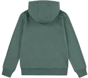 Levis Levi's Kids hoodie BATWING met logo donkergroen Sweater Logo 140 - Foto 3