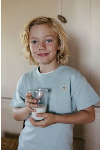 LEVV Little T-shirt lichtblauw Jongens Katoen Ronde hals Effen - Foto 3