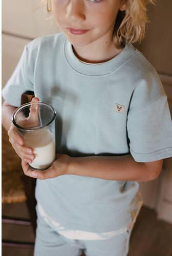 LEVV Little T-shirt lichtblauw Jongens Katoen Ronde hals Effen - Foto 2