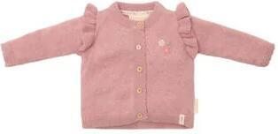 Little Dutch vest roze fijn gebreid Meisjes Katoen Ronde hals Effen