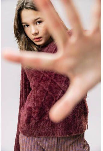 LOOXS 10sixteen trui met textuur wijnrood Meisjes Nylon Ronde hals Effen 152 - Foto 2