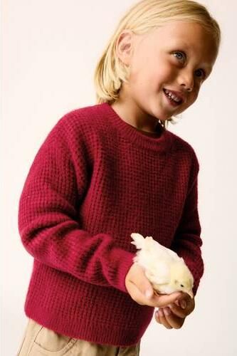 Mango Kids gebreide trui rood Jongens Acryl Ronde hals Effen