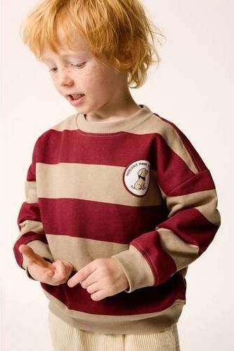 Mango Kids gestreepte sweater met borduursels bruin rood Beige Printopdruk