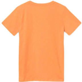 Name it KIDS T-shirt NKMZEFREDE met printopdruk oranje Jongens Katoen Ronde hals 146 152